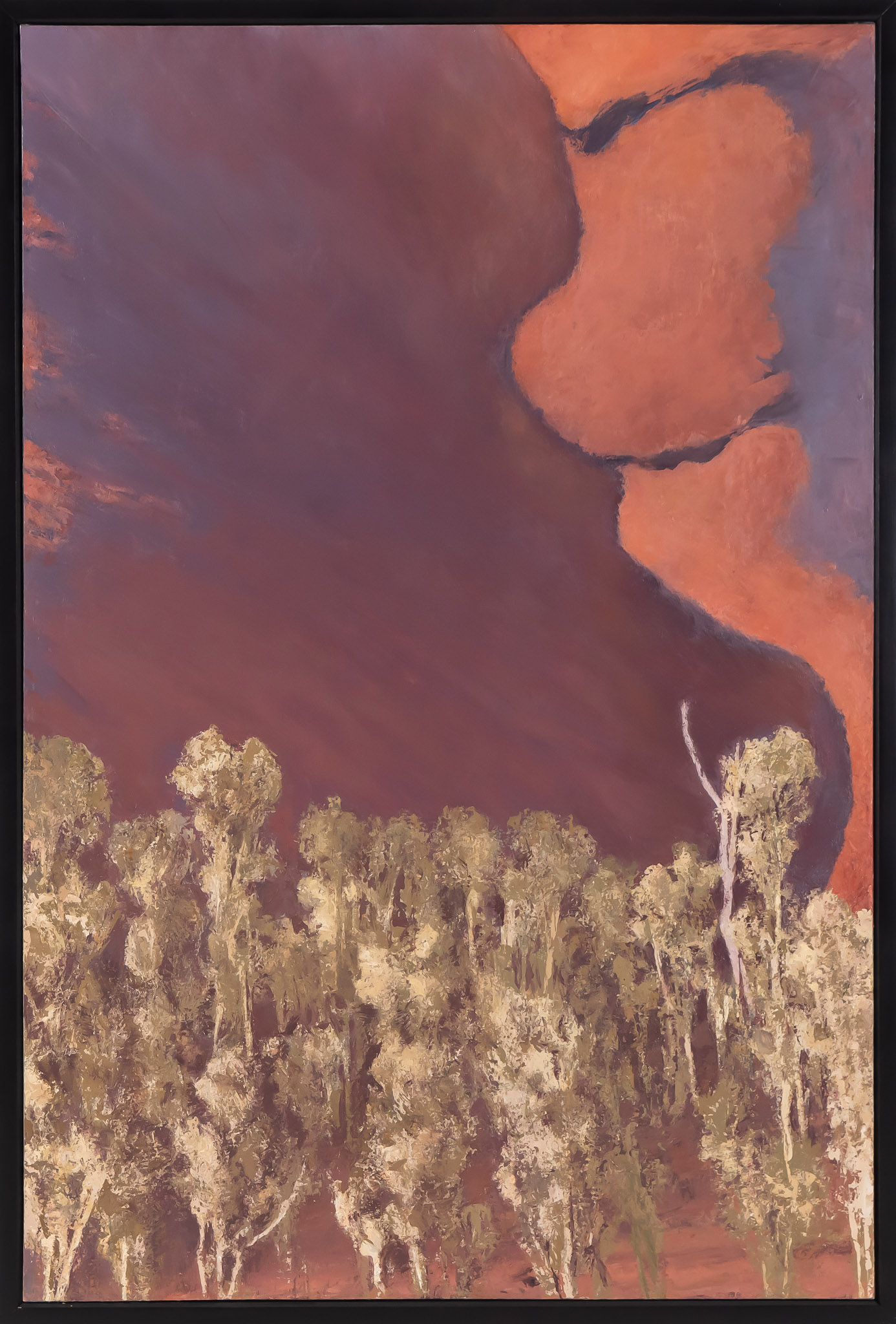 Tony Slater, Uluru 